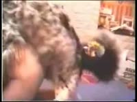 Big ass whore got pussy sniffed and fucked by furry dog